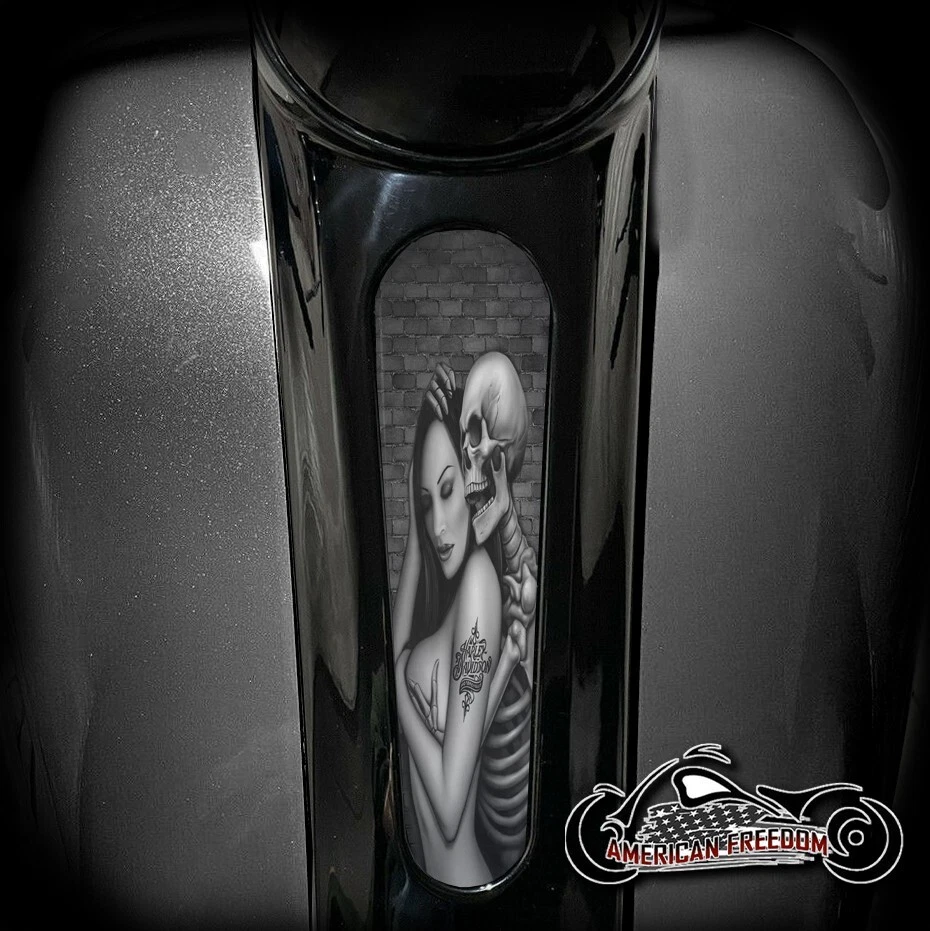 INSERTO DE TABLERO HARLEY DAVIDSON 8 PULGADAS STREET GLIDE & ROAD GLIDE - ABRAZO Foto 1 de 1