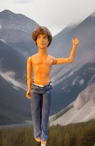 Disney High School Musical 2 Troy Doll Boy (Zac Efron) (B11) - Imagen 1 de 5