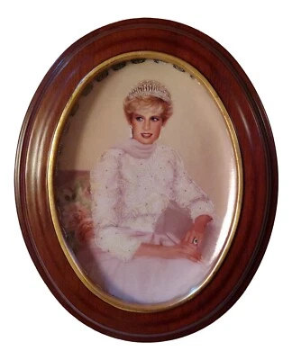 Bradford Exchange Framed Plate Princess Diana Princess To The World  - Image 1 of 4
