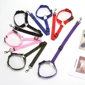 2 in 1 dog/cat leash and Pet Car Seat Belt - Picture 1 of 4