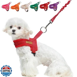 BEAUTYZOO Imbracatura per Cani di Piccola Taglia, Set Imbracatura e Guinzaglio per Cani Senza Tirare, Morbido - Foto 1 di 5