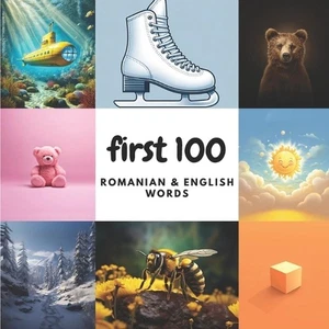 First 100 Romanian & English Words by Aisling Heidary Paperback Book - Picture 1 of 1