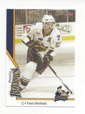 2007-08 Peoria Rivermen (AHL) Trent Whitfield (Providence Bruins)