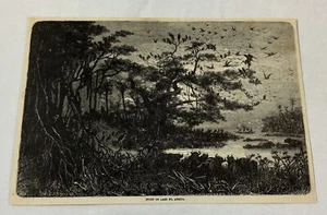 REVISTA 1881 GRABADO ~ DEPORTE - CAZA EN EL LAGO NU EN ÁFRICA - Imagen 1 de 1