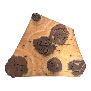 Antico blocco stampa tessuto francese XIX secolo Robinson's House of Blanchini anni 40 - Foto 1 di 9