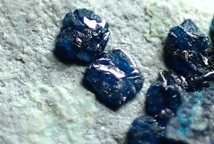 CORNETITE * BLUE CRYSTALS ON MATRIX !!! L'Etoile du Congo Mine, DR CONGO - Picture 1 of 24