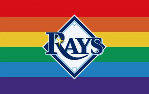 Tampa Bay Rays Pride Flag 3x5ft Banner Polyester Baseball World Series 019 Cover