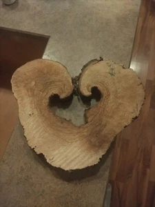 Wildbaumherz natur gewachsen, vom Baum im Hof. 40 mm dick. Madeline Island - Bild 1 von 5