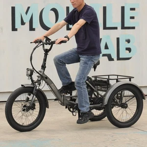 Fafrees F20 Mate Elektro Dreirad 20 Zoll E Bike 500W 3 Räder eBike mit Korb 18AH - Bild 1 von 14