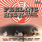 Various Artists Feeling High: The Psychedelic Sound of Memphis (CD) Album