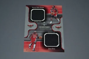 SHAREEF ABDUR-RAHIM & JASON TERRY 2002 Upper Deck Dual Game Used Jerseys COLORS! - Picture 1 of 1