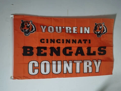 NFL Cincinnati Bengals You're In Bengals Country 3x5 Flag Banner Burrow Chase Cover