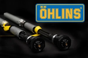 FKS 509 OHLINS CARTRIDGE KIT 2014 - 2016 BMW R NINE T with springs - Picture 1 of 6