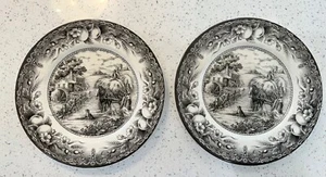 2 Royal Stafford Hayride Black Dinner Plate 11” Fine Earthenware England - Picture 1 of 3