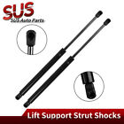 2Pcs Rear Tailgate Lift Support Shock Struts For 07-12 Hyundai Santa Fe Pm1017