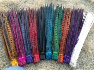 "CUELLO DE ANILLO INGLÉS TEÑIDO Plumas de Faisán 20-26" ¡MUCHOS COLORES! Disfraz/sombreros/artesanía - Imagen 1 de 13