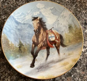 ThunderFoot war ponies of the plains collectors plate D675 - Picture 1 of 2