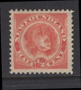 NEWFOUNDLAND 57 1/2c ORANGE RED 1896 BABNC MONTREAL RE-ISSUE MNH VF CV$360 - Picture 1 of 2