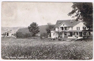New York Postkarte Pfand The Maples 1916 - Bild 1 von 2