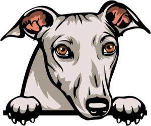 GREYHOUND / WHIPPET Peeking DOG Car Window Sticker Decal 100mm - Picture 1 of 1