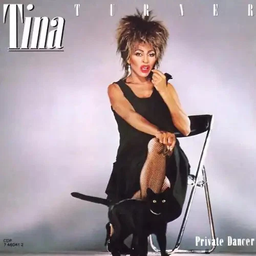 Tina Turner - Private Dancer - Bild 1 von 1