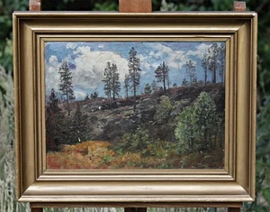 Beautiful Oil Painting – Forest Landscape with Trees and Hills – 19th century - Bild 1 von 6