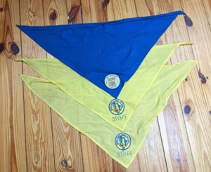 3 Vintage Cub Scouts BSA Jungen gelb blau dreieckiges Halstuch/Bandana/Patches - Bild 1 von 4