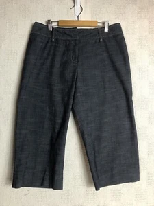 Apt. 9 "Maxwell" Capri Pants ~ Women's Size 12 ~ Blue Gray ~ 10” Rise ~ Wide Leg - Picture 1 of 9