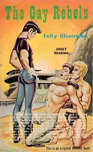 The Gay Rebels by Larry Price Vintage Sleaze Gay Pulp Paperback 1966 VG - Imagen 1 de 1