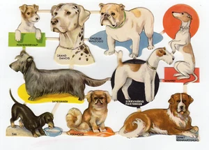 9 chromos découpis anciens les races de chien /RUBdé - Imagen 1 de 2