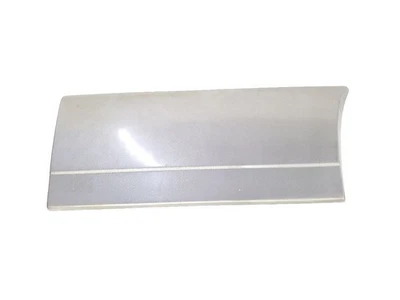 Volkswagen Eurovan 1999 OEM puerta delantera derecha moldura  Foto 1 de 4