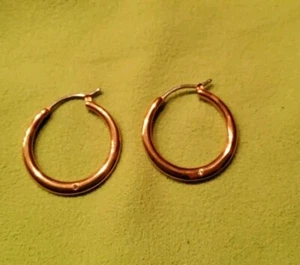 Fossil Creolen rose Stainless Steel mit kleinem Zirkonia am Rand - Bild 1 von 4