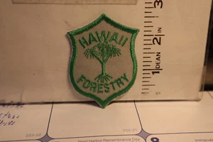 police patch FORESTRY HAWAII BALL CAP SIZE - Bild 1 von 1