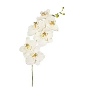 Kunstblume PHALAENOPSIS Künstlich Orchidee ORCHIDEENZWEIG 76cm Weiß leicht CREME - Bild 1 von 1