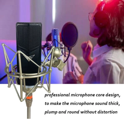 Vocal Condenser Microphone Complete Live Studio Sound Recording Boom Audio Mic - Image 1 of 4