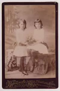 CARTE CABINET Moscou - Enfants de l'aristocratie russe - Vintage albumen c.1885 - Imagen 1 de 2