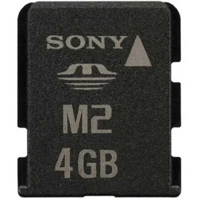 Scheda di memoria 4 GB memory stick microM2 M2 per console Sony PSP GO - Immagine 1 di 3