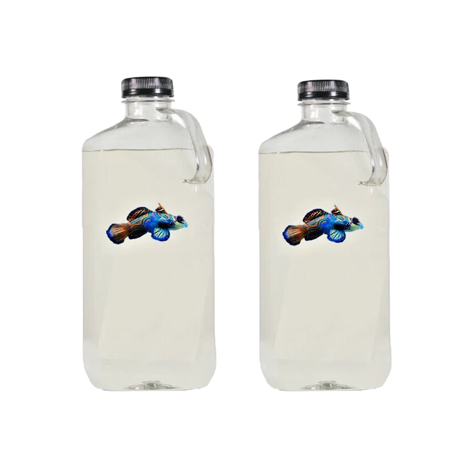 COPEPODS FOR SALE 1/2 Gal Copepods - Free Fast Shipping - With phyto in bottle, 5 Species!