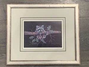 Carol Sorensen Hand Signed Wildlife Print Raccoon Climbing Tree Framed - Picture 1 of 6
