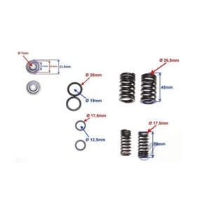 Ventilfeder 156FMI, 162FMI Motor (komplett) - Bild 1 von 3