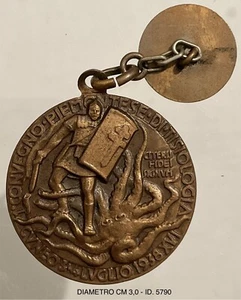 CUNEO CROCE ROSSA GIORNATA DELLE 2 CROCI MEDAGLIA 1° CONVEGNO TISIOLOGIA 1938 - Imagen 1 de 6