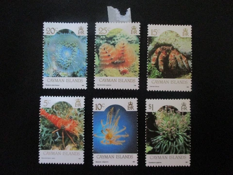 Cayman Islands #562-71 Mint Hinged - WDWPhilatelic (6-23) Cover