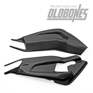 Brillo de protección de cala basculante de fibra de carbono para BMW S1000RR 2009-2018 - Imagen 1 de 8