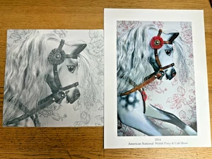 Rocking Horse Print from 2014 American National Welsh Pony & Cob Show 12.2x16.2" - Picture 1 of 8