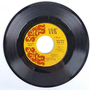 Magnum Opus - Up From The Sea - 1969 VMC V-737 Promo Psych Rock - Foto 1 di 4