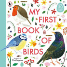 Zoë Ingram My First Book of Birds (Taschenbuch) Zoe Ingram's My First Book of...