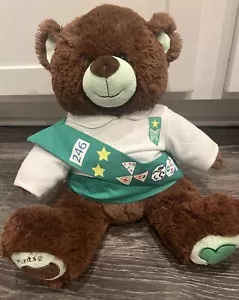 Build A Bear Girl Scouts Thin Mints Brown Bear Plush 12" With Sash - Picture 1 of 3