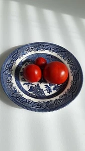 30+ Arkansas Traveler Tomato Seeds Heirloom. No pesticides Prolific - Picture 1 of 1