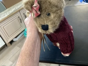 Boyd's Bear 12 Zoll groß F.a.B. Plüschbär '98 - Bild 1 von 11