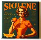 Woman with Orange Juice FRIDGE MAGNET "style B"